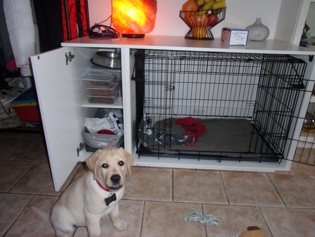 Fido 24 Mirror Fido Accessories Dog Crates Dog Beds Dog Toys And More Omlet