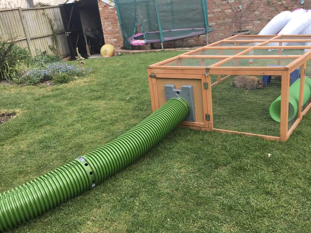 Zippi Guinea Pig Tunnel System | Omlet
