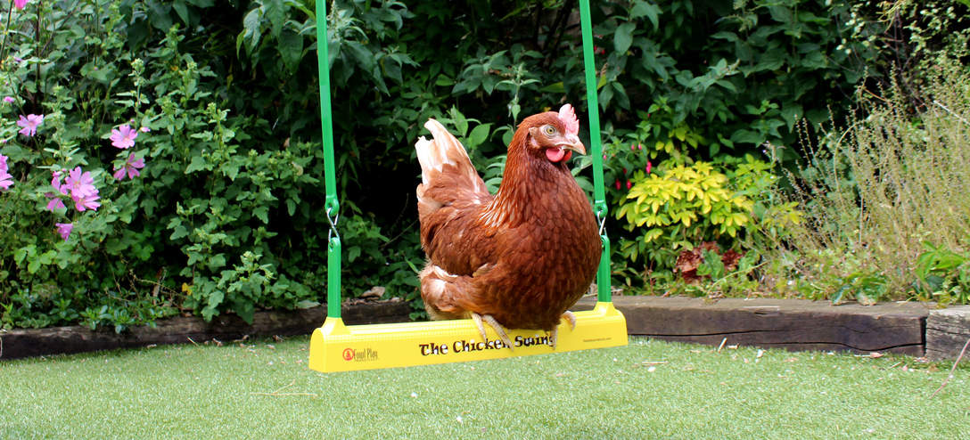 Jinchen Chicken Ladder Swing Chicken Perch Chicken Wood Stand Chicken Toy for Hens Handmade Chicken Coop Swing Ladder Toys for Large Bird Parrot Hens Macaw Trainning，Chicken coop Accessories 