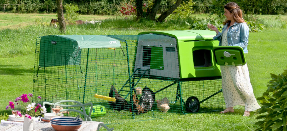 The Eglu Cube coop makes chicken keeping straightforward and fun, perfect for both newbies and advanced hen keepers. The Eglu Cube coop makes chicken keeping straightforward and fun, perfect for both newbies and advanced hen keepers.