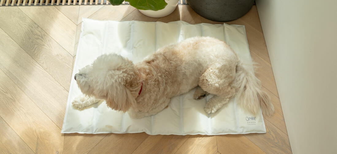 The memory foam offers ultimate comfort, so you can choose if you want to put the mat on your dog’s bed or straight on the floor.