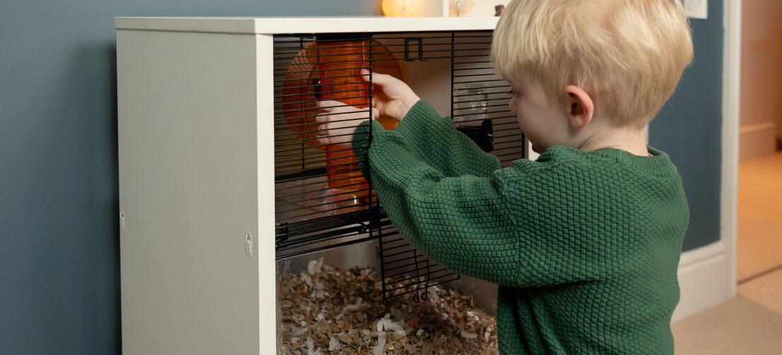 Young boy twisting the tube in a Qute hamster and Gerbil cage.