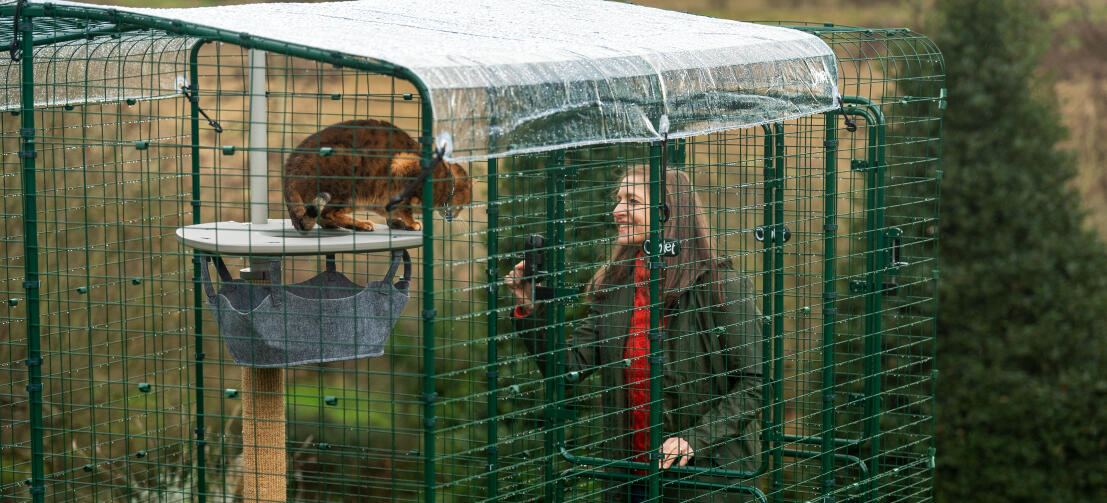 Owner interacting with her cat from inside the cat run porch