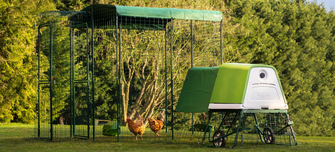 Recycled Chicken Coop! Mobile, Insulated, easy to clean, and only