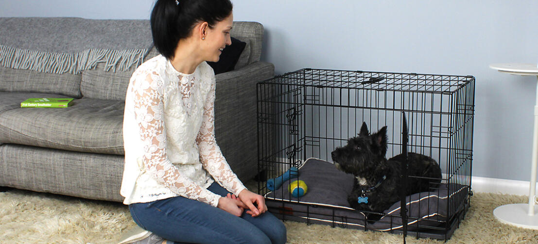 Essential Puppy Crate Training Products