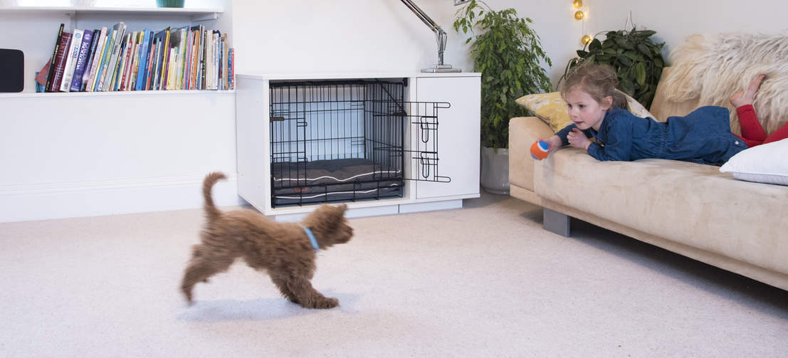 Experts agree that using a dog crate is the fastest and most reliable method of puppy training