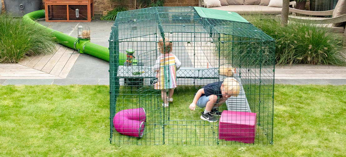 Zippi Platforms offer fun for all the family and a new way for everyone to play and interact with their guinea pigs.