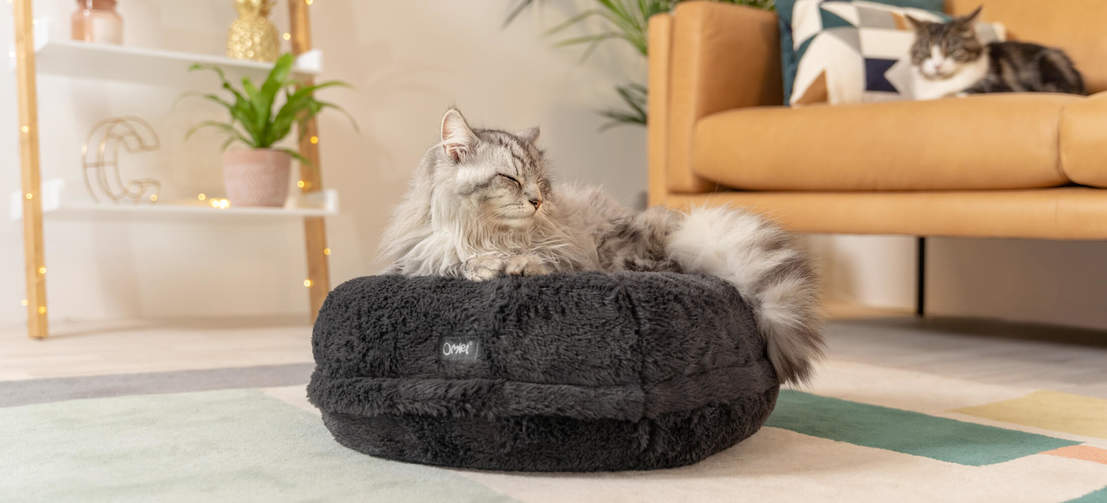 The donut cat bed moulds around your cat’s body as they sink into the cushion, like Sammy here who weighs 5kg.
