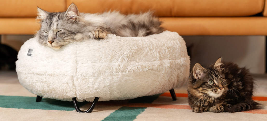 Cats resting in the luxurious soft donut cat bed in snowball white color with metal black hairpin designer feet