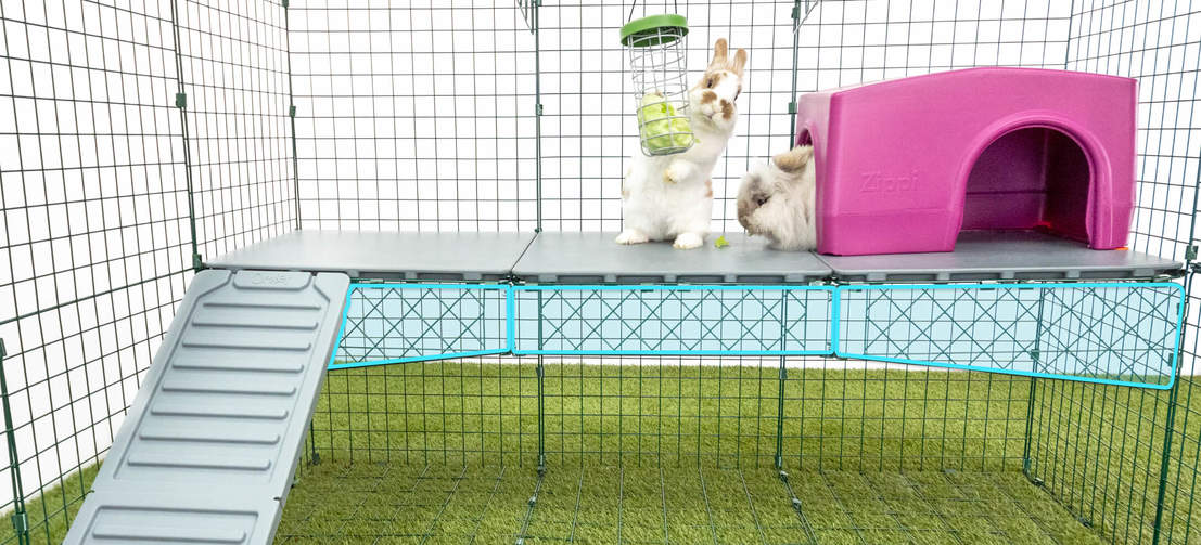 Zippi Platforms come with strong wire supports to ensure they don’t flex or bend when your rabbits are on them. Zippi Platforms come with strong wire supports to ensure they don’t flex or bend when your rabbits are on them.