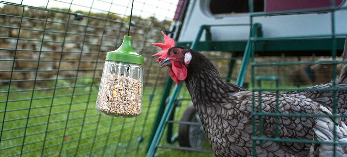 With the Pendant pecking toy you make the run of your chickens even more entertaining.