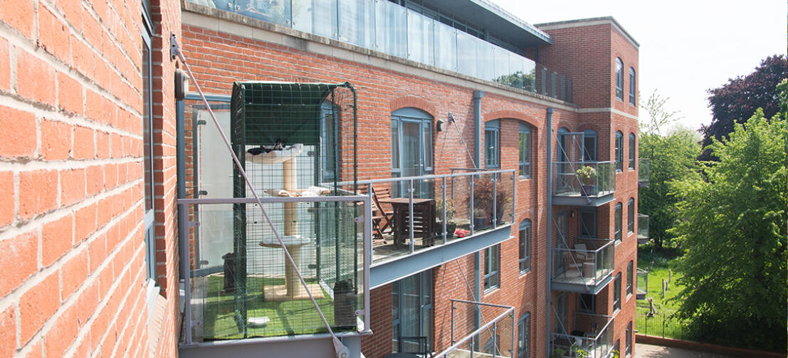 A walk in run setup as a cat balcony with a cover over the top