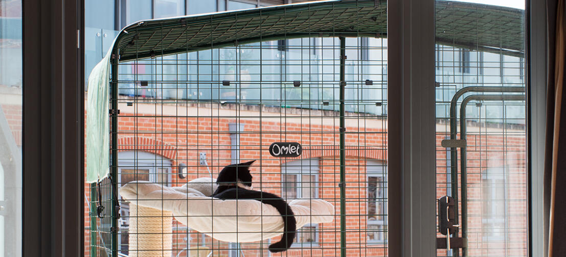 A black and white cat lying on a bed in a walk in run set up as a cat balcony