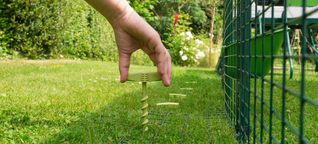 A screw peg being placed in to the ground on the skirting of a walk in run