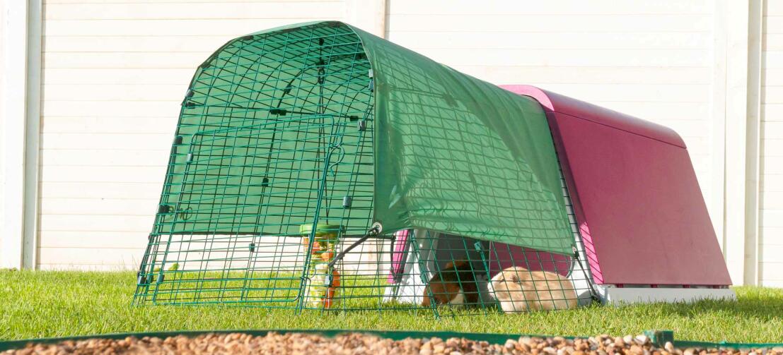 The Eglu Go hutch for guinea pigs in a garden