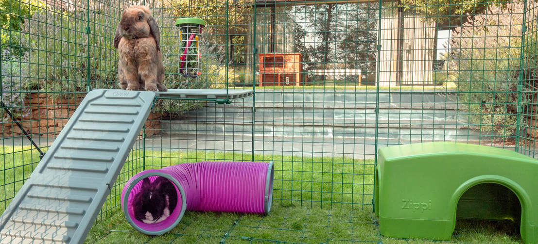 Flopsy enjoys looking out across the garden from his Corner Platform, while Thumper sleeps in the shaded Play Tunnel below. Flopsy enjoys looking out across the garden from his Corner Platform, while Thumper sleeps in the shaded Play Tunnel below.