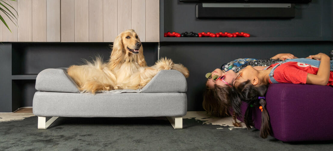 Dog laying on Omlet Topology dog bed with bolster bed topper and white rail feet with girls laying upside down