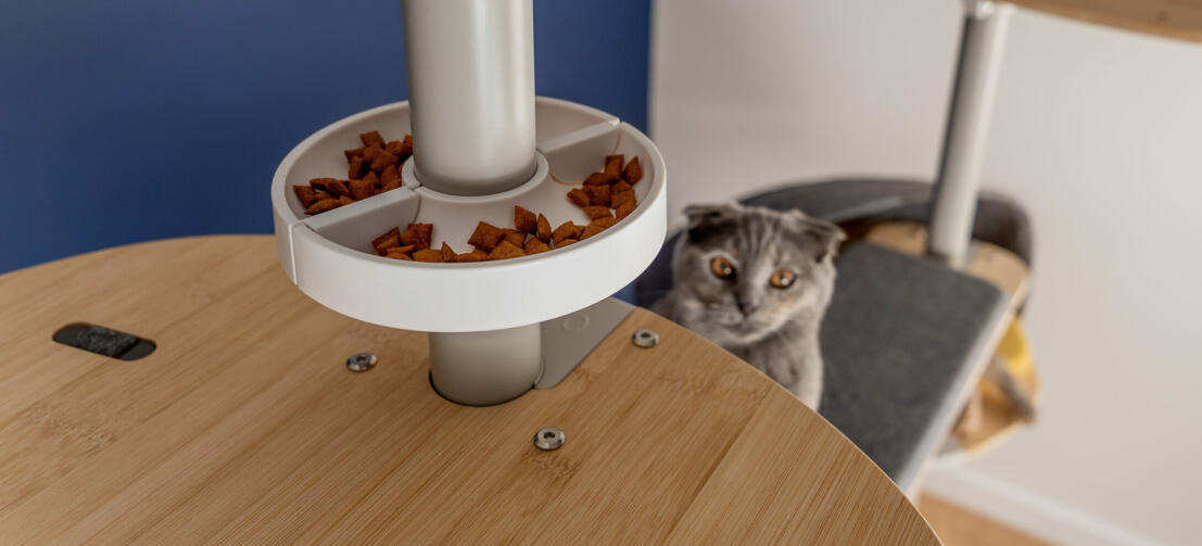 Cat in background with freestyle cat tree customisable with accessories treat holder