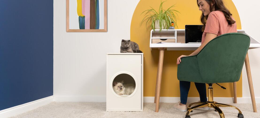 Cute fluffy white cat sitting inside of Maya indoor cat house whilst grey cat sits on top