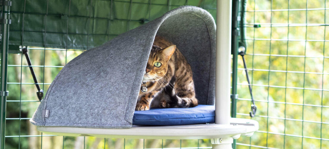 Cat playing hide in the den accessory for the outdoor Freestyle cat tree system