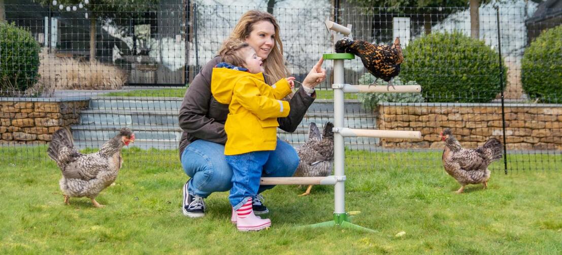 Mom and daughter playing with chickens perching in the universal free standing chicken perch toy