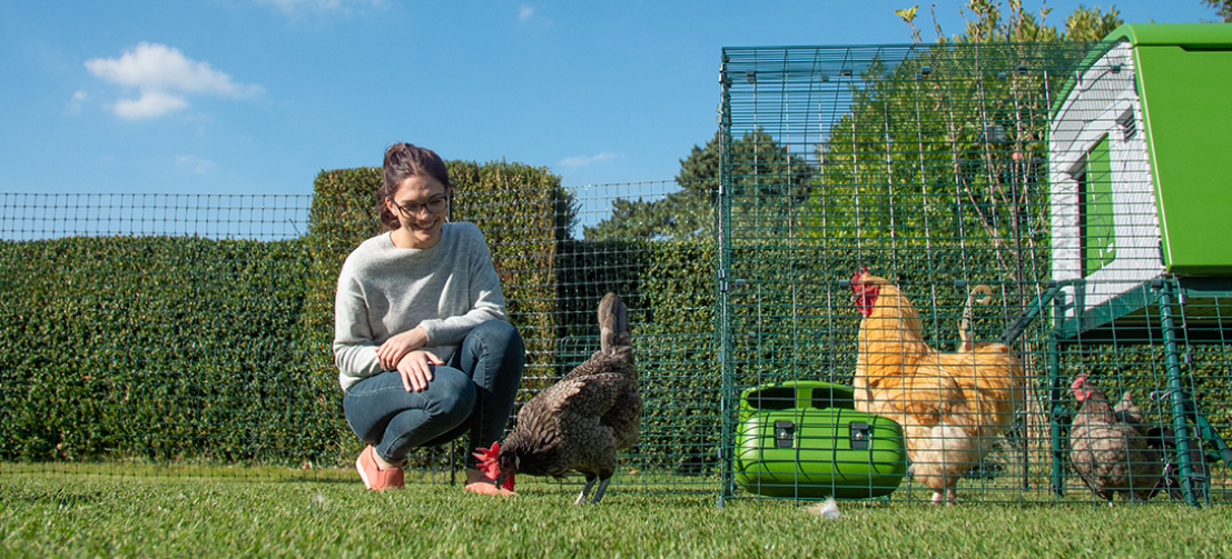 The dark poultry fencing blends seamlessly into your backyard