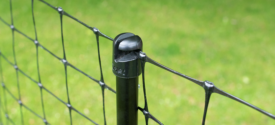 Chicken Wire Fencing: Everything You Need to Know