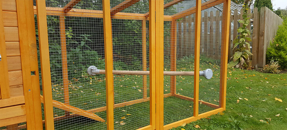 Any chicken coop can still be improved with a chicken perch.