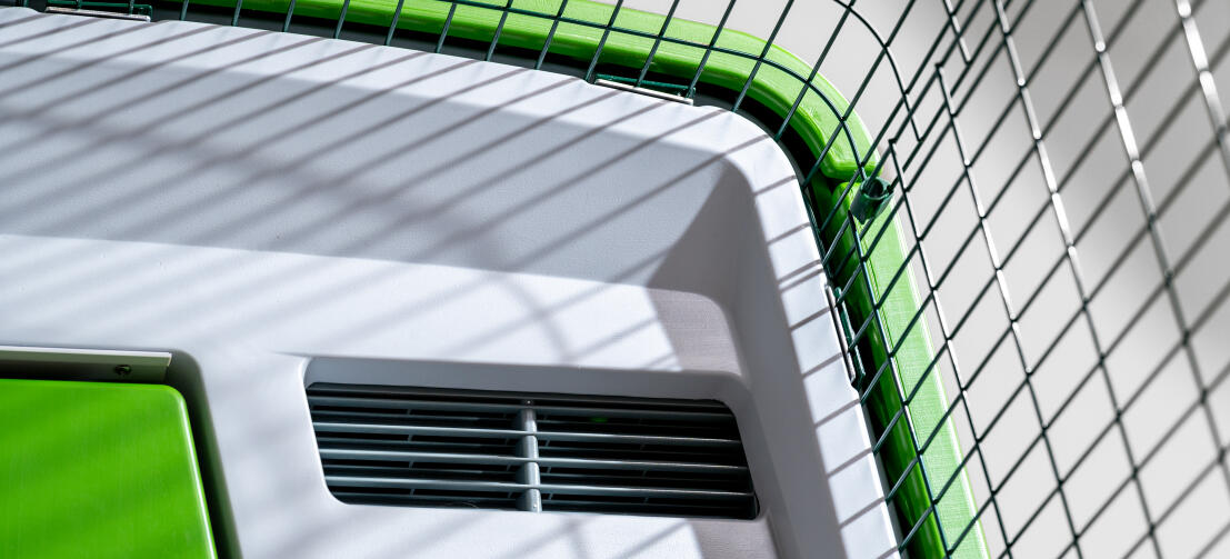 Close up of air vents at top of Eglu Cube chicken coop