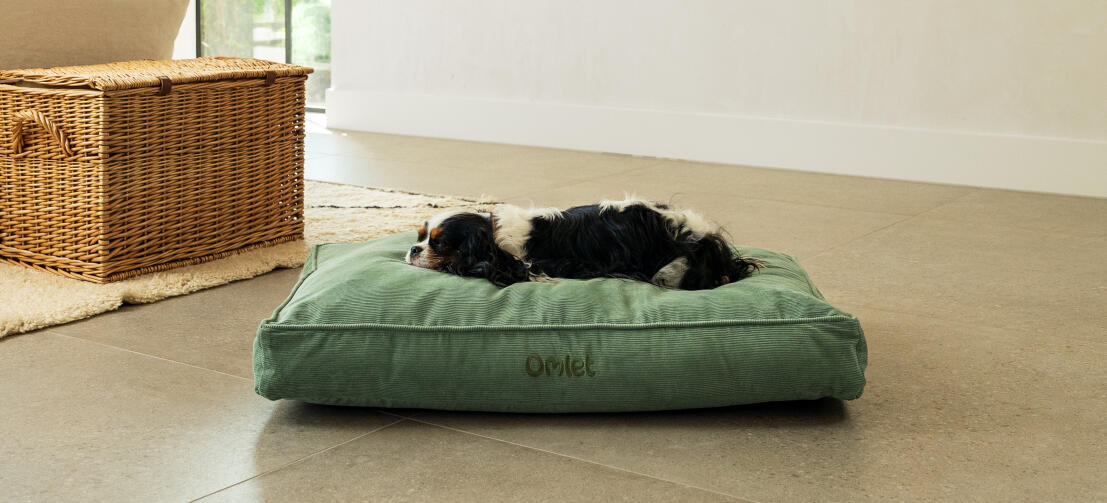 Cushion Dog Bed Omlet