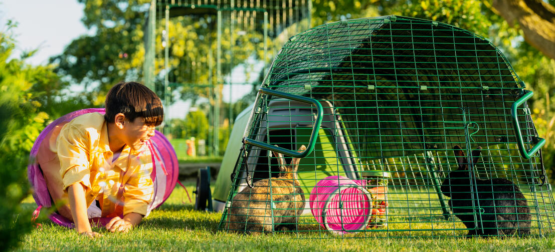 Omlet eglu rabbit 2024 hutch