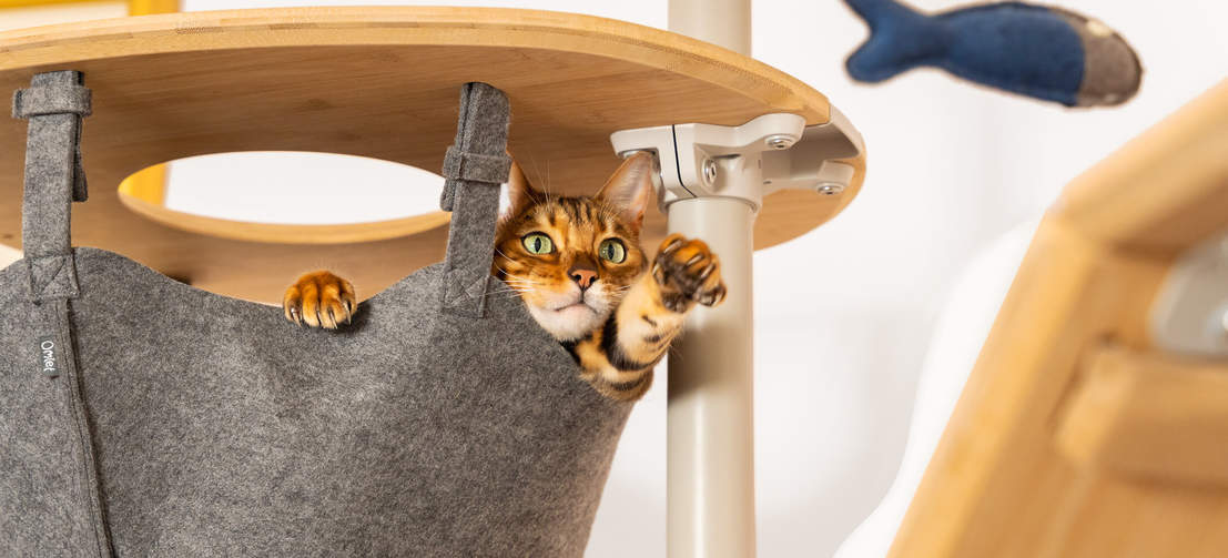 tall cat tree with hammock