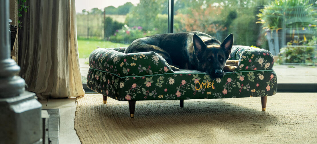 German shepherd on green large dog bed