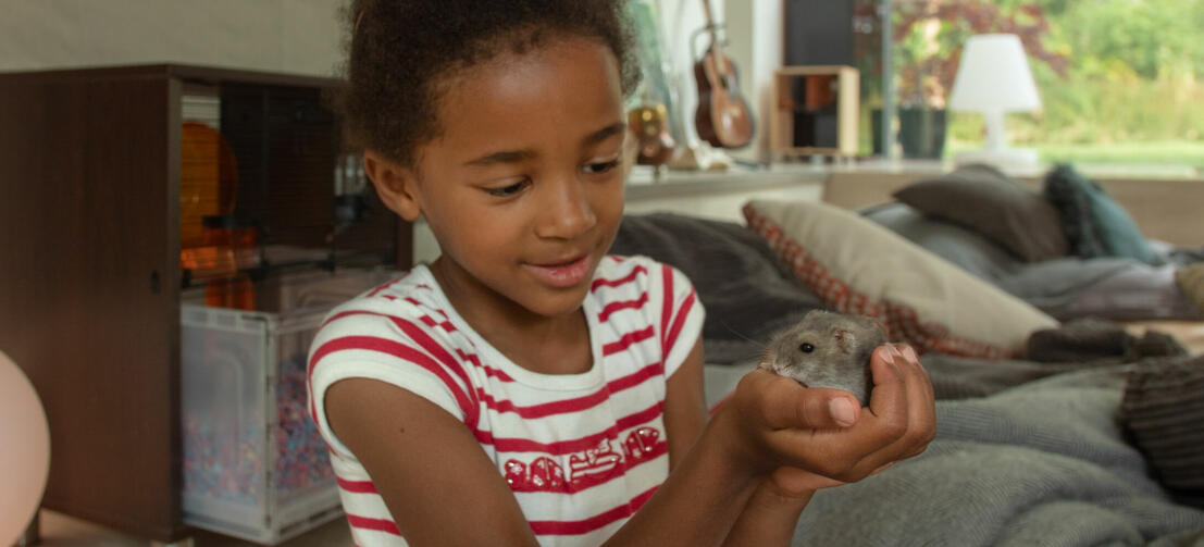 Children love the Qute hamster cage