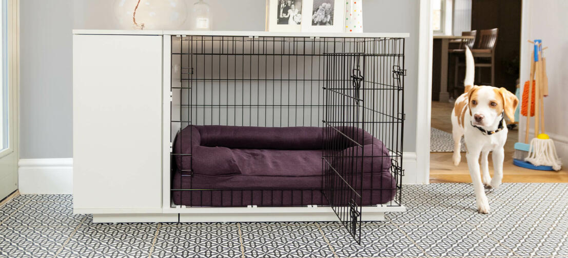 Fido Studio 36 Dog Crate - Walnut