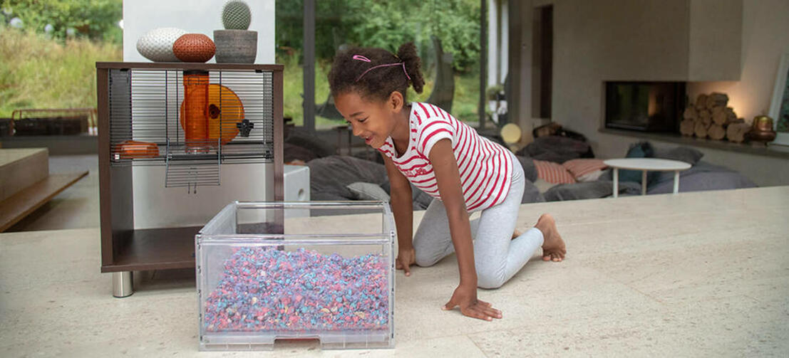 A kid looking at a hamster inside a burrowing box of a Qute hamster cage