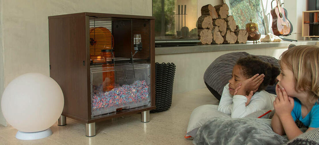Two children relaxing watching their hamster in the Qute cage. Two children relaxing watching their hamster in the Qute cage.