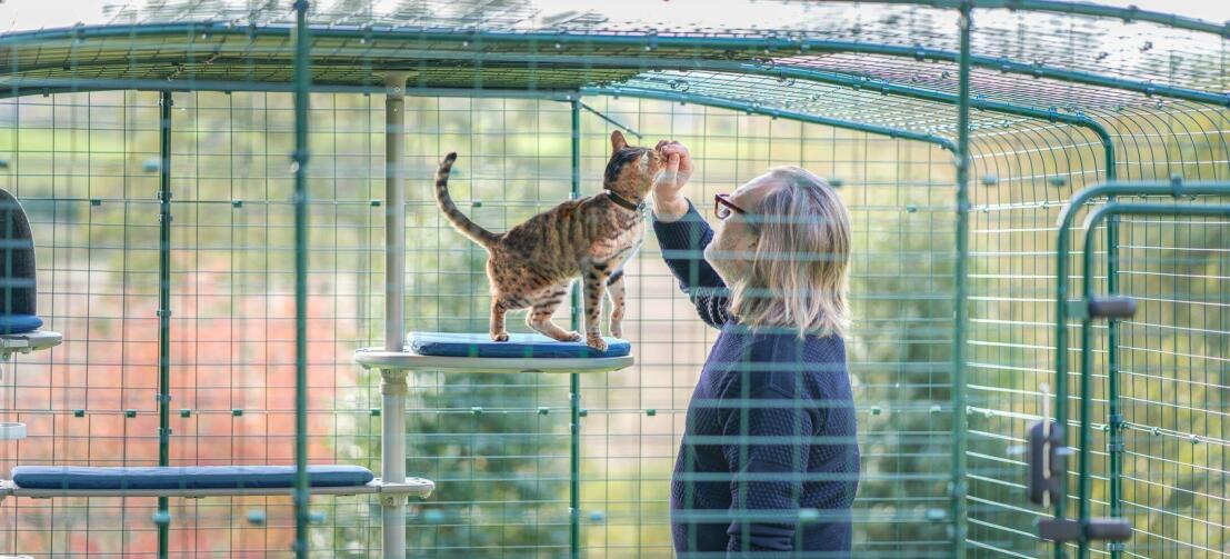 Man and cat inside a cat enclosure enjoying the personalised outdoor cat tree