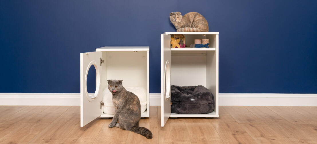 Two Maya cat indoor cat houses with cat infront and one on top