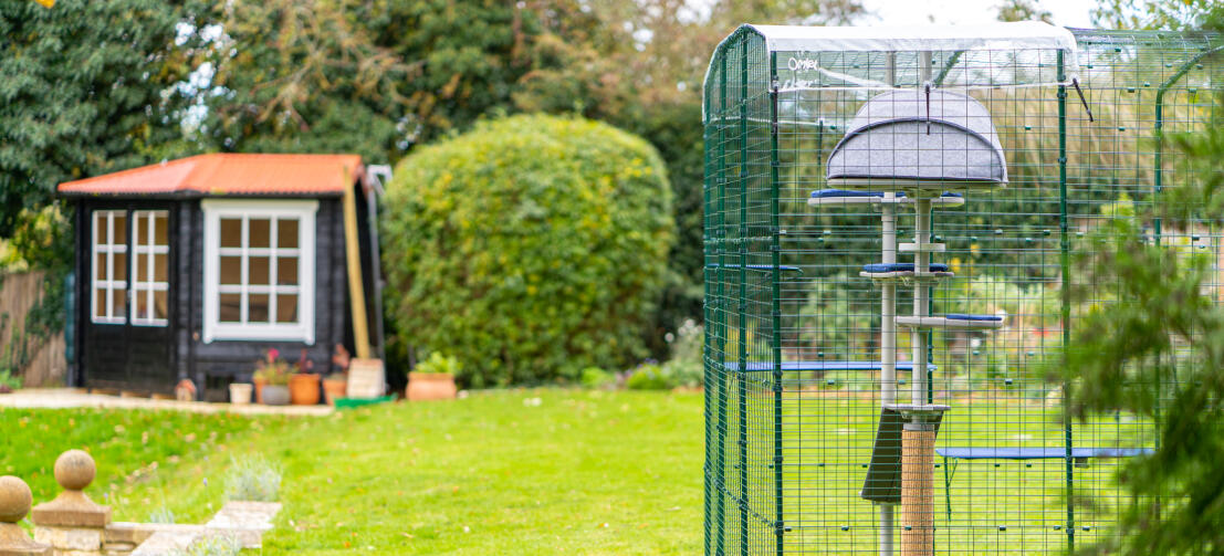 Omlet catio in the garden with Freestyle outdoor cat tree inside of it