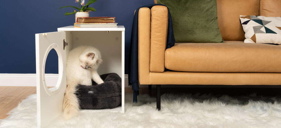 Cute white fluffy cat sitting inside of Maya indoor cat house on a black Maya donut cat bed next to sofa