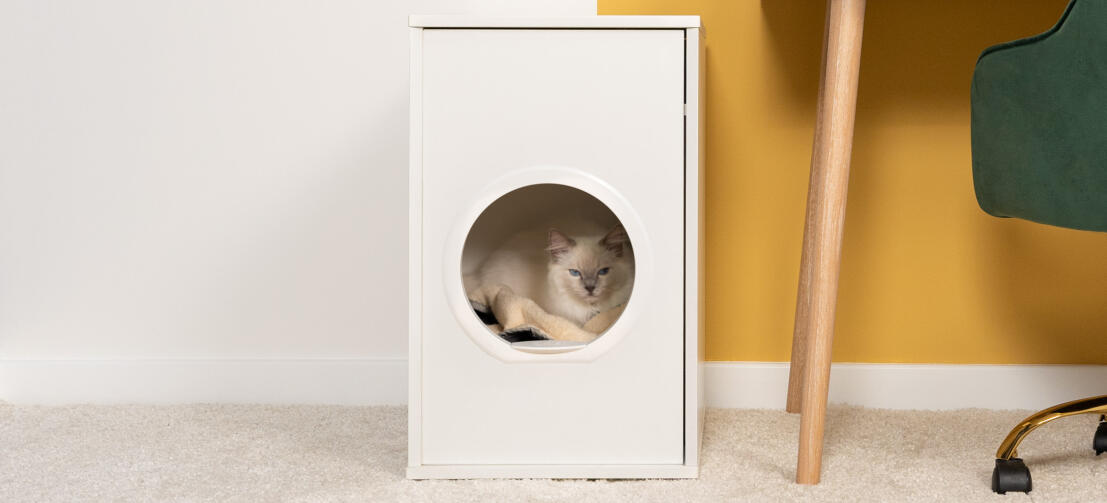 White fluffy cat sitting inside of Maya indoor cat house