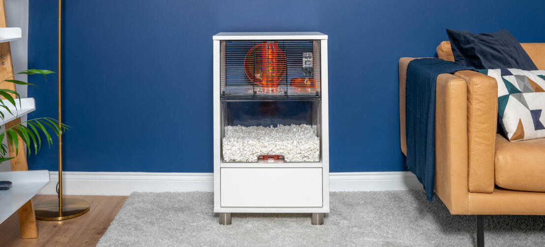 Modern white hamster Qute cage in a living room