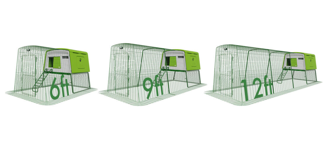 Eglu large chicken coop with raccoon resistant run sizes