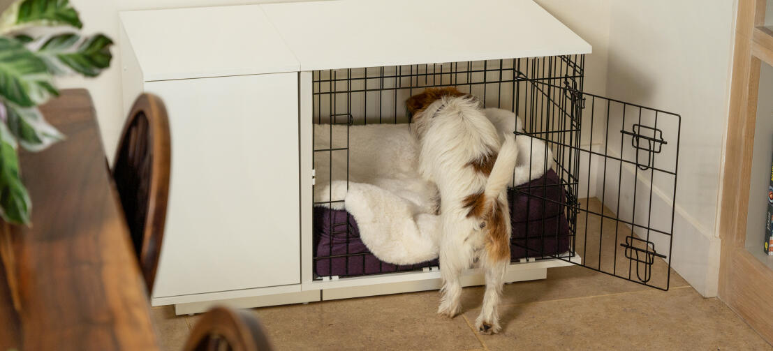 Fido Studio 36 Dog Crate - Walnut