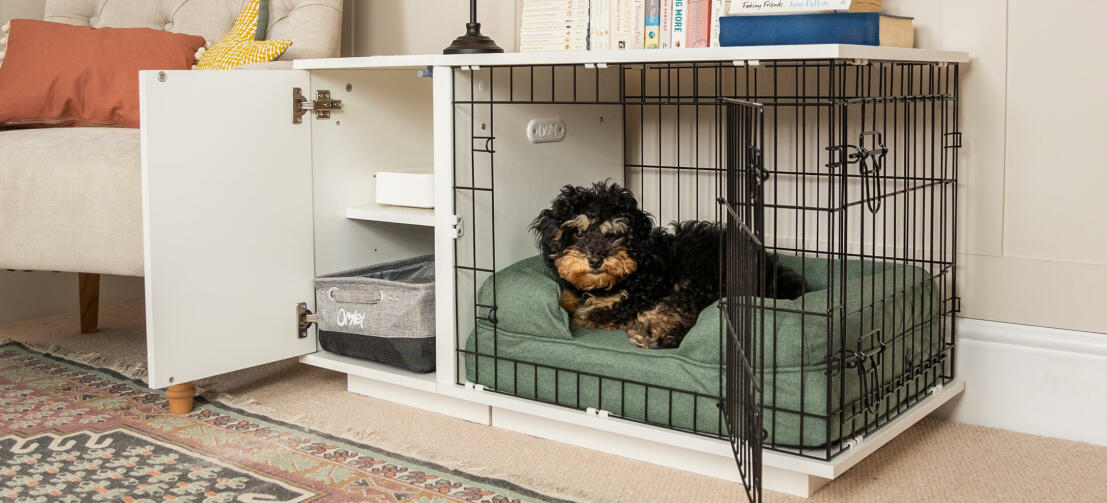 Cage pour chien in 2023  Dog crate furniture, Crate furniture, Crate end  tables