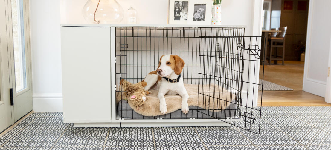 Topology dog bed