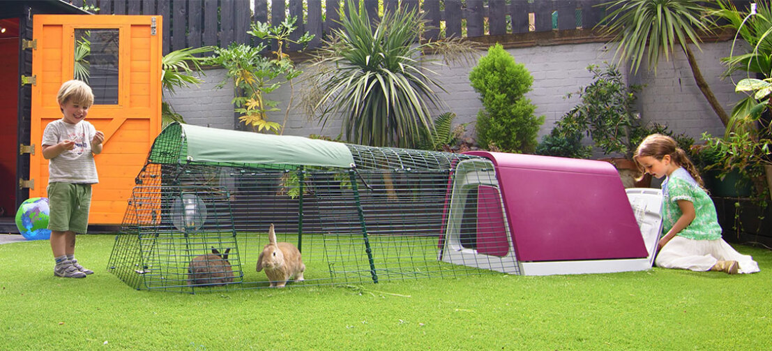 With a Eglu Go hutch you and your rabbits can spend time together in the garden