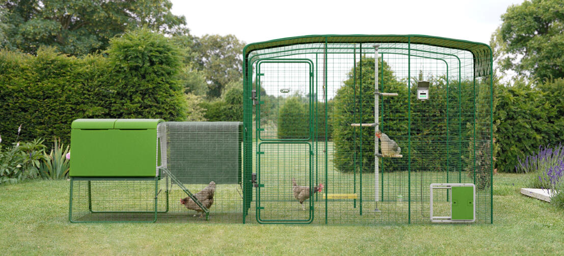 Walk in chicken run attached to Eglu Cube chicken coop