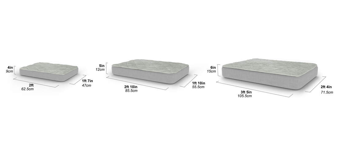 Topology dog bed dimensions